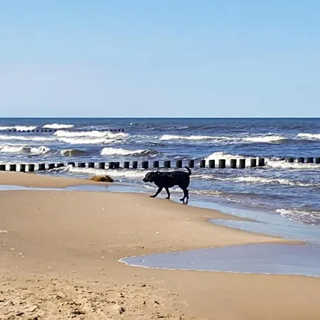 Balmer Wiesen Appartement