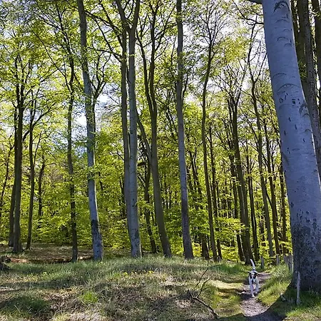 Balmer Wiesen * Balm